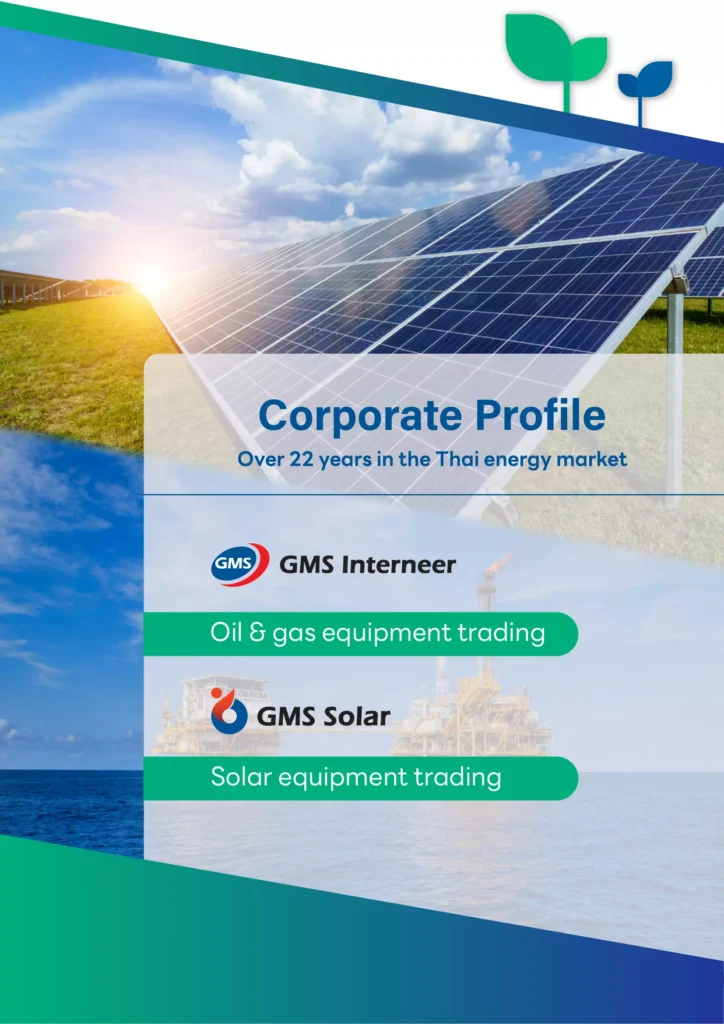 Corporate Profile - GMS Group 2024-1